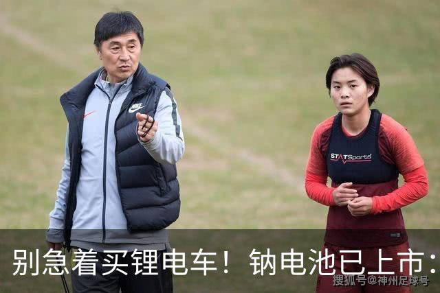 别急着买锂电车！钠电池已上市：5年质保，同容量还便宜大几百