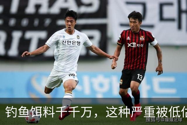 钓鱼饵料千千万，这种严重被低估，随手可得、效果通杀
